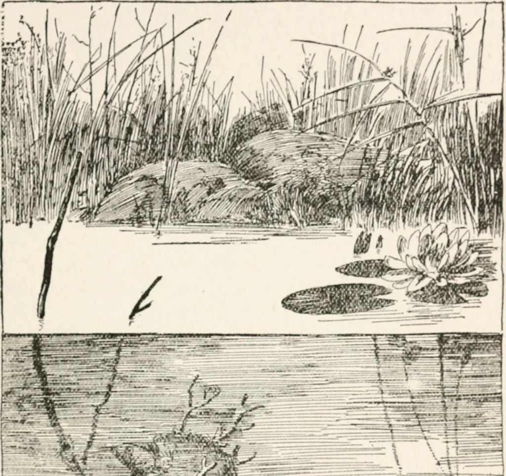 An illustration from In the child's world : morning talks and stories for kindergartens, primary schools and homes, 1893, leaf 268