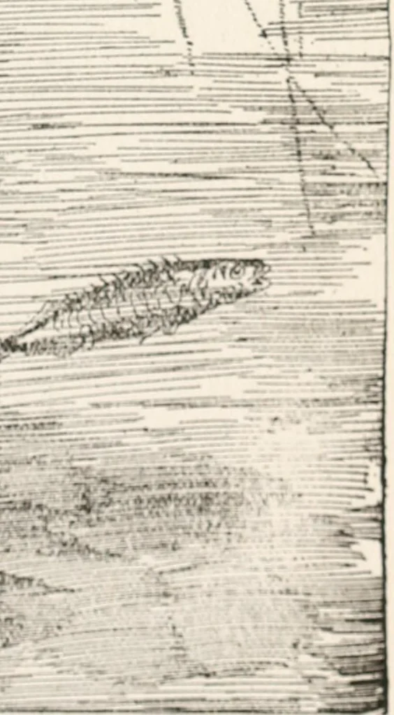 An illustration from In the child's world : morning talks and stories for kindergartens, primary schools and homes, 1893, leaf 268