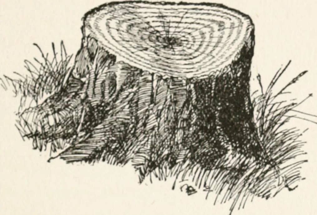 An illustration from In the child's world : morning talks and stories for kindergartens, primary schools and homes, 1893, leaf 272