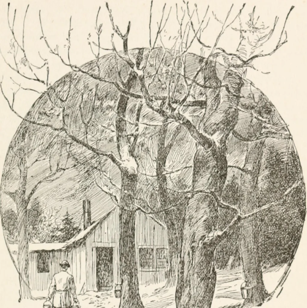 An illustration from In the child's world : morning talks and stories for kindergartens, primary schools and homes, 1893, leaf 280