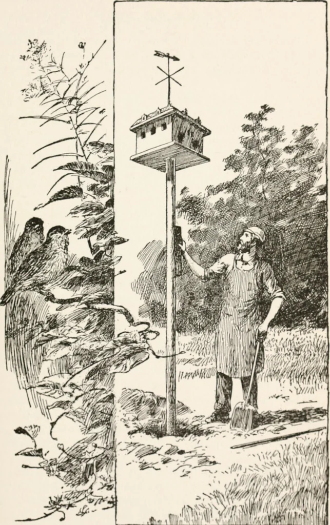 An illustration from In the child's world : morning talks and stories for kindergartens, primary schools and homes, 1893, leaf 306