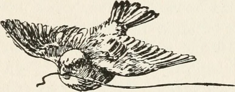 An illustration from In the child's world : morning talks and stories for kindergartens, primary schools and homes, 1893, leaf 311