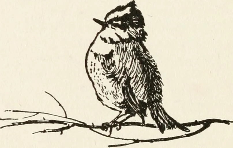 An illustration from In the child's world : morning talks and stories for kindergartens, primary schools and homes, 1893, leaf 33