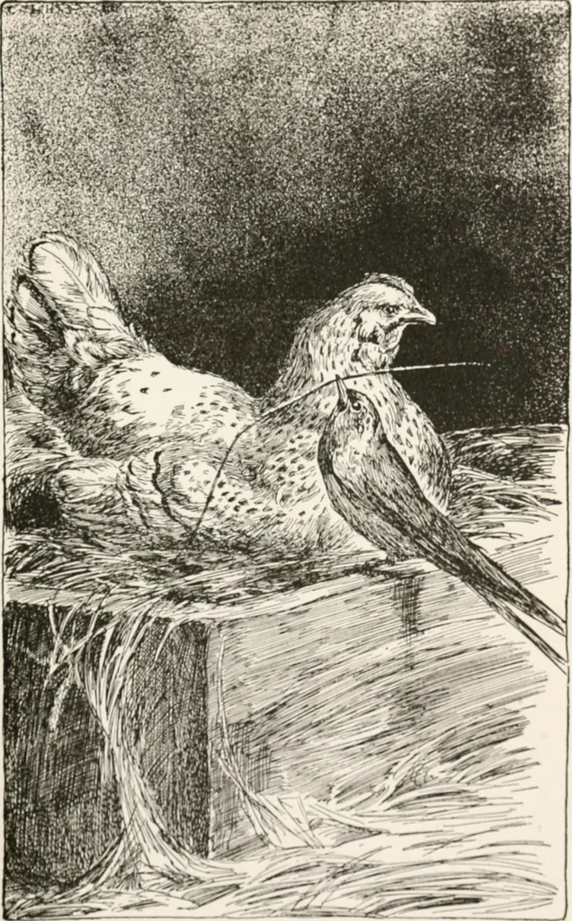 An illustration from In the child's world : morning talks and stories for kindergartens, primary schools and homes, 1893, leaf 358