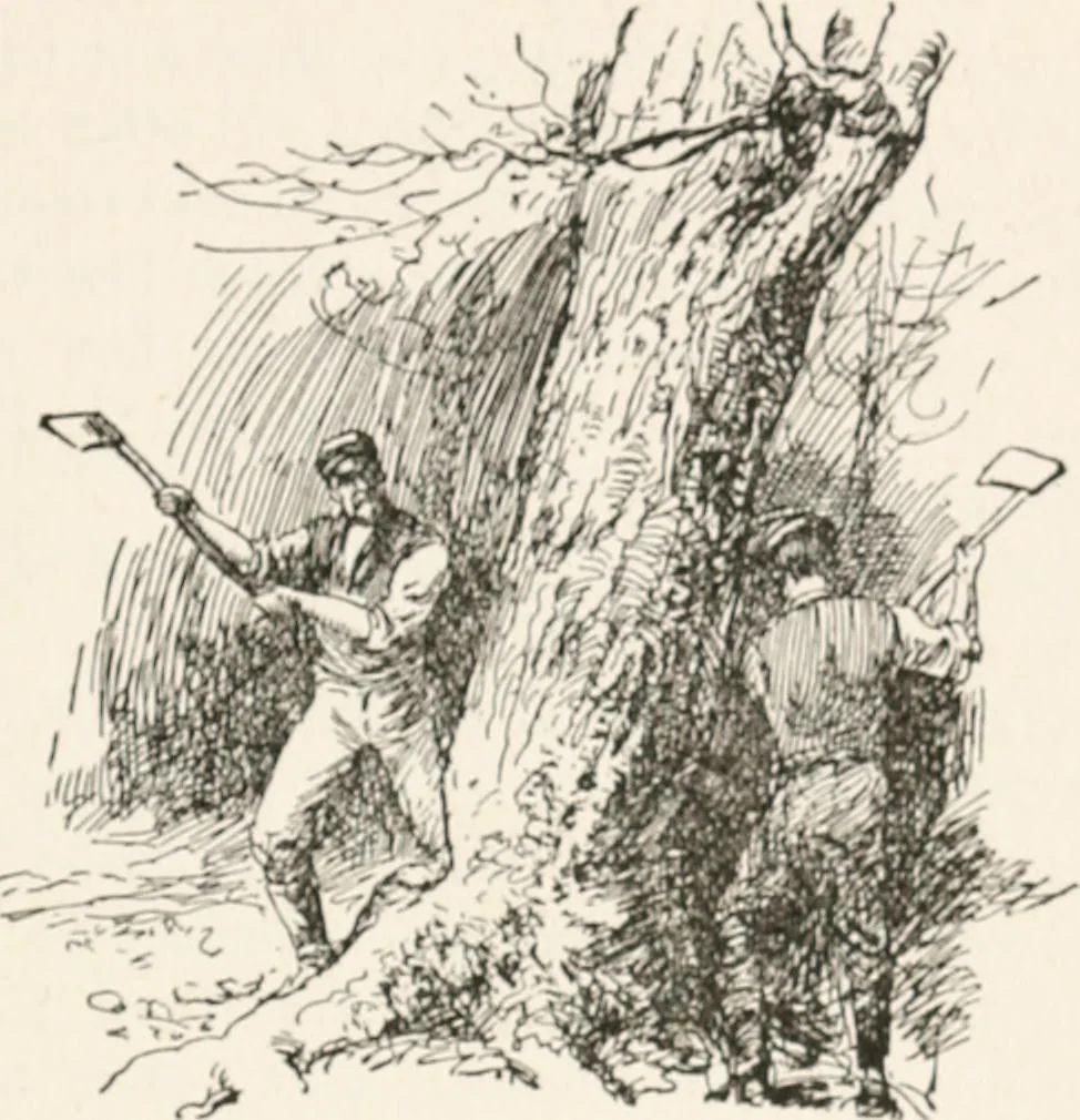An illustration from In the child's world : morning talks and stories for kindergartens, primary schools and homes, 1893, leaf 36