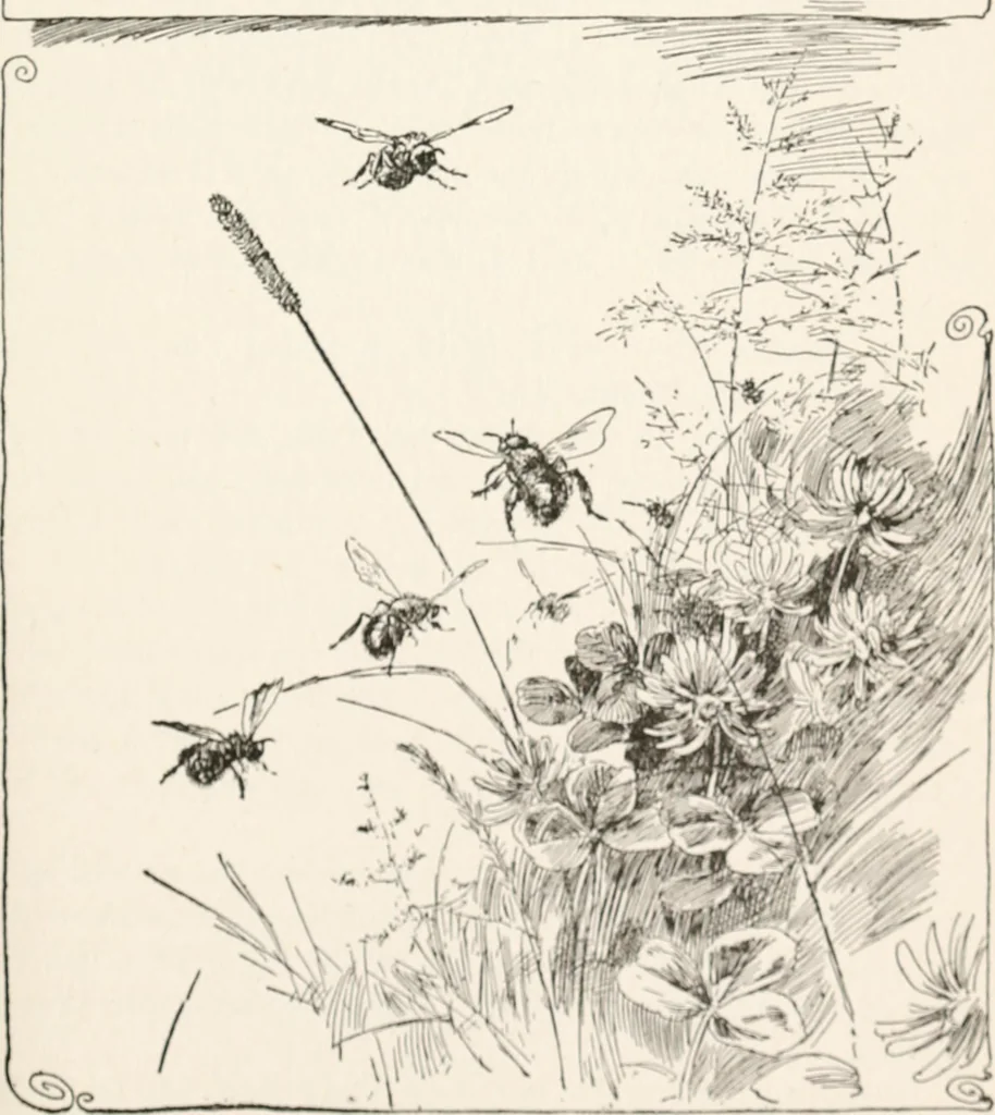 An illustration from In the child's world : morning talks and stories for kindergartens, primary schools and homes, 1893, leaf 368