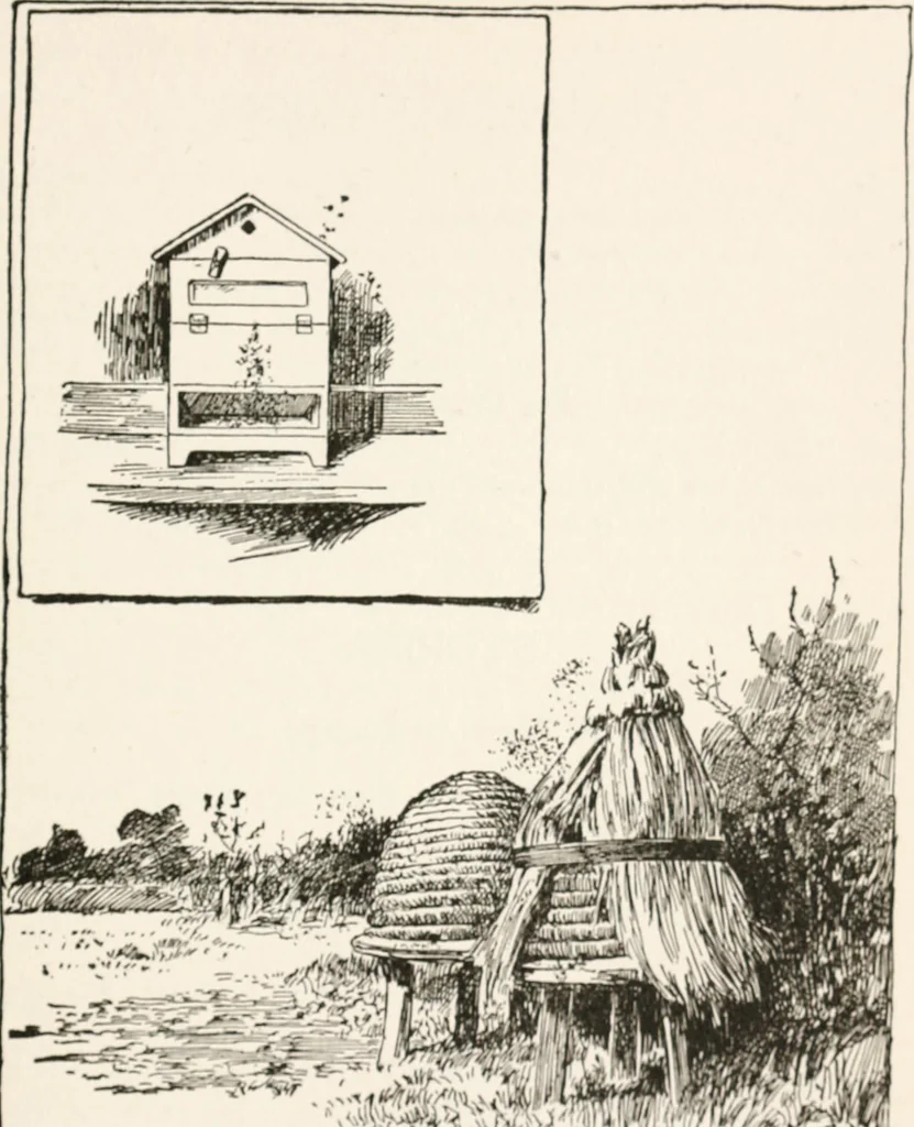 An illustration from In the child's world : morning talks and stories for kindergartens, primary schools and homes, 1893, leaf 374