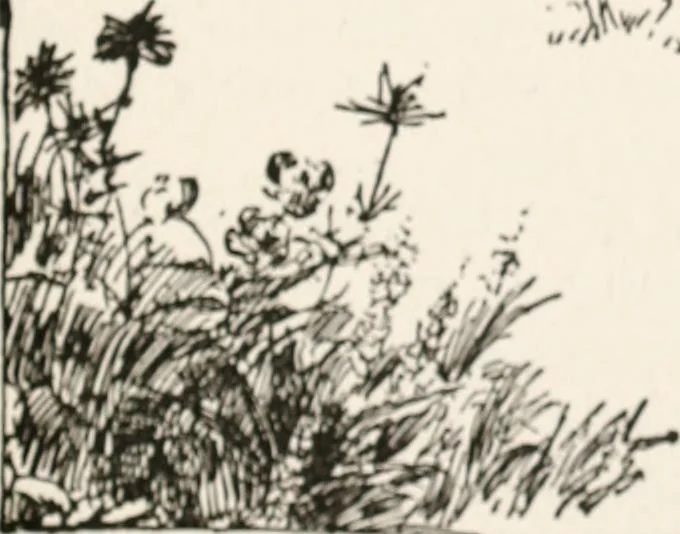 An illustration from In the child's world : morning talks and stories for kindergartens, primary schools and homes, 1893, leaf 374