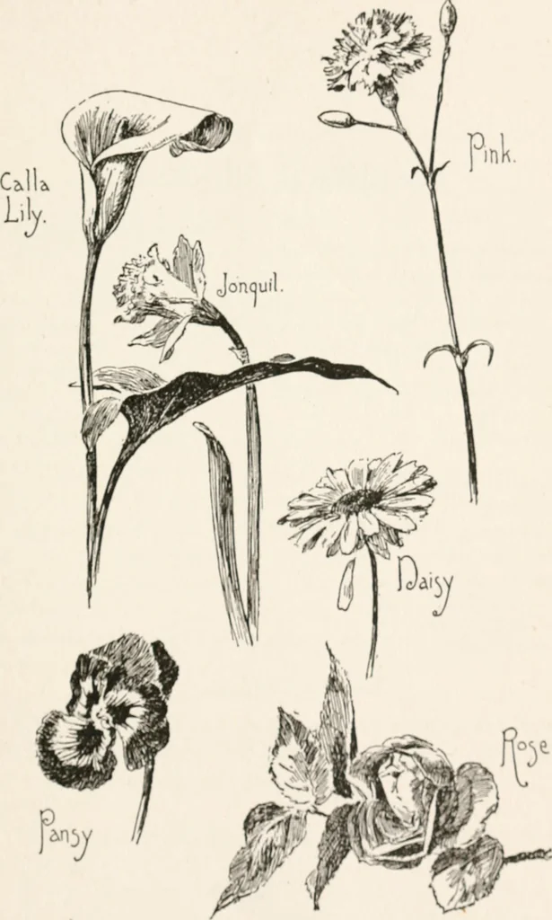 An illustration from In the child's world : morning talks and stories for kindergartens, primary schools and homes, 1893, leaf 388