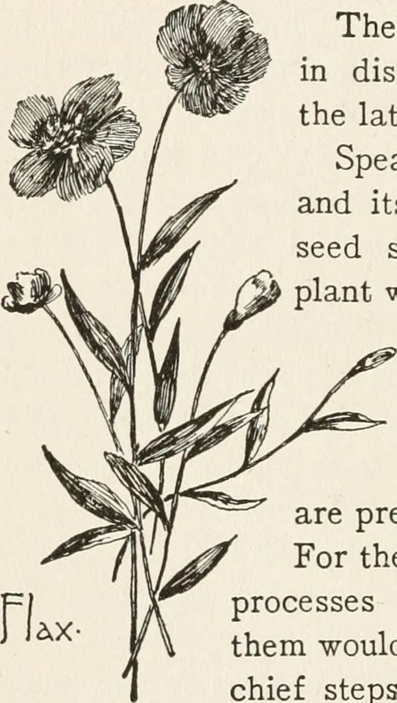 An illustration from In the child's world : morning talks and stories for kindergartens, primary schools and homes, 1893, leaf 445
