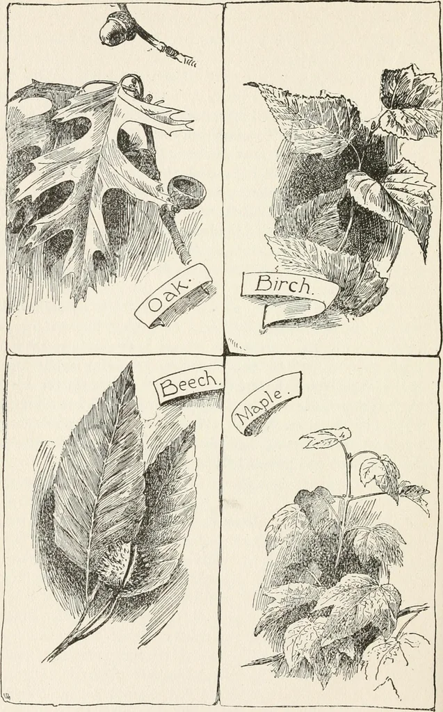 An illustration from In the child's world : morning talks and stories for kindergartens, primary schools and homes, 1893, leaf 63