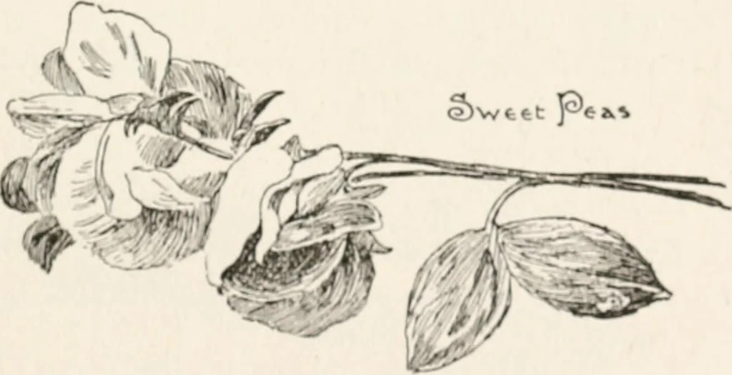 An illustration from In the child's world : morning talks and stories for kindergartens, primary schools and homes, 1893, leaf 72