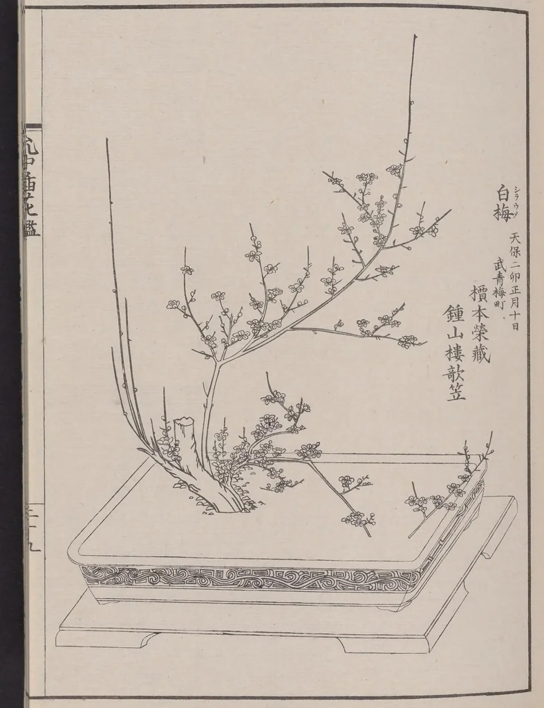 An illustration from Inchū-ryū sōka kagami, 1868, leaf 37