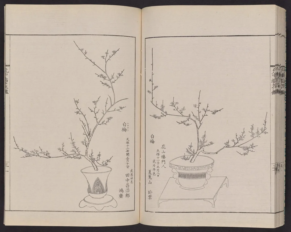 An illustration from Inchū-ryū sōka kagami, 1868, leaf 39