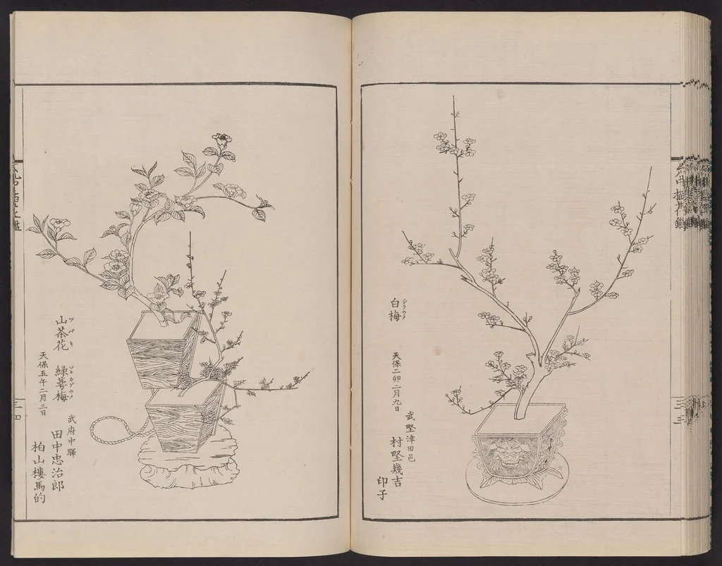 An illustration from Inchū-ryū sōka kagami, 1868, leaf 42