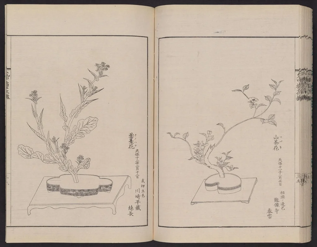 An illustration from Inchū-ryū sōka kagami, 1868, leaf 44