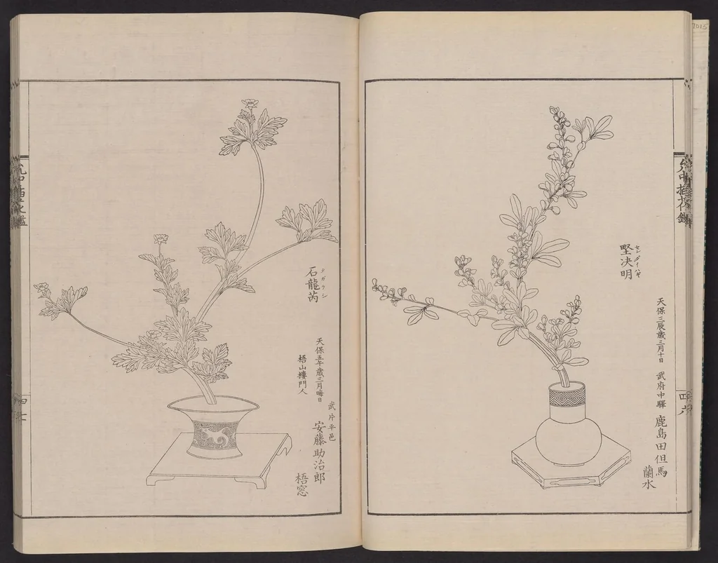 An illustration from Inchū-ryū sōka kagami, 1868, leaf 10