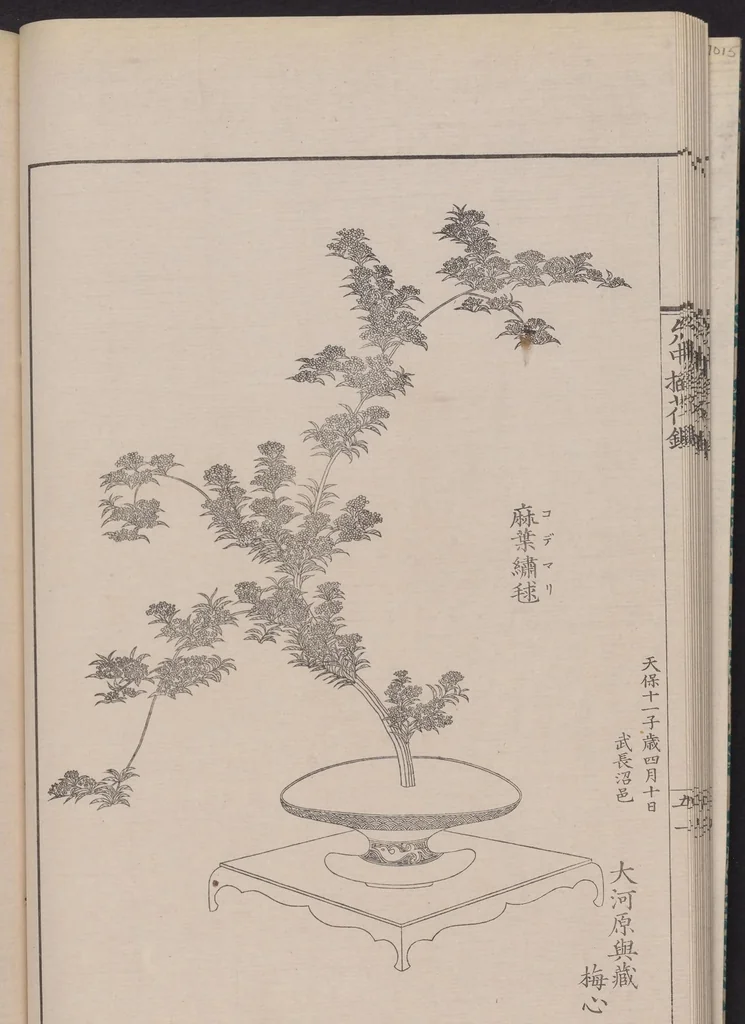 An illustration from Inchū-ryū sōka kagami, 1868, leaf 15