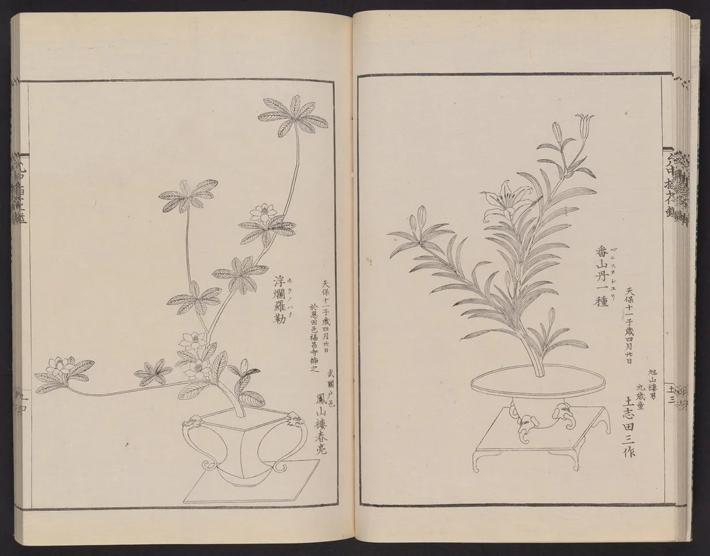 An illustration from Inchū-ryū sōka kagami, 1868, leaf 17