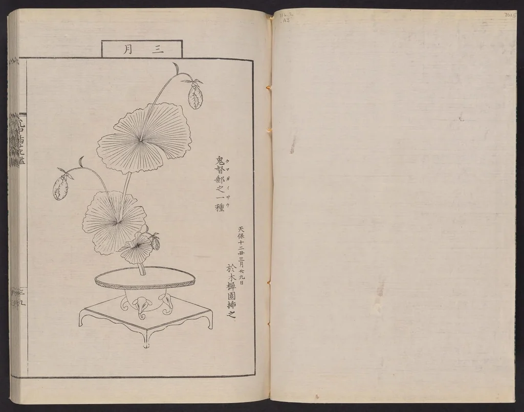An illustration from Inchū-ryū sōka kagami, 1868, leaf 2