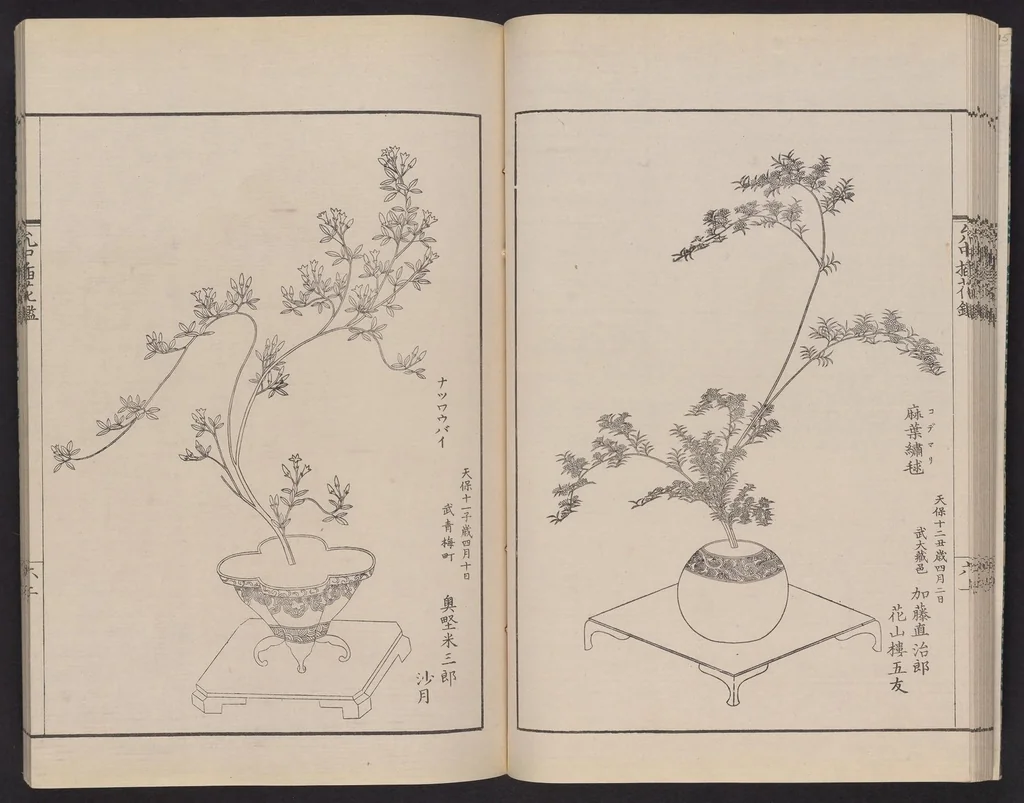 An illustration from Inchū-ryū sōka kagami, 1868, leaf 25