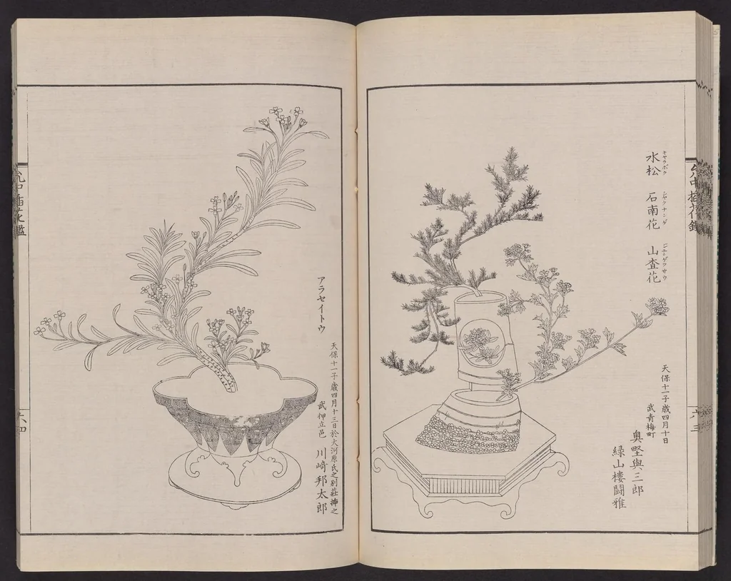 An illustration from Inchū-ryū sōka kagami, 1868, leaf 27