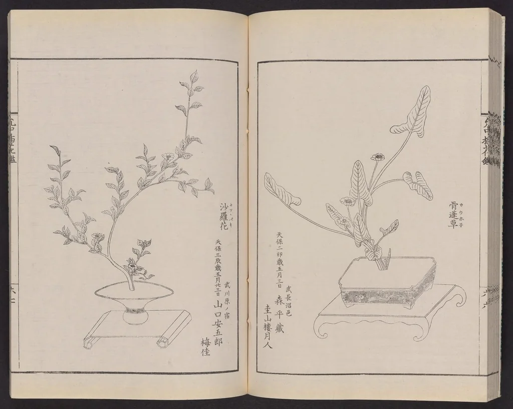 An illustration from Inchū-ryū sōka kagami, 1868, leaf 30