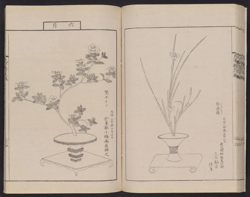 An illustration from Inchū-ryū sōka kagami, 1868, leaf 37