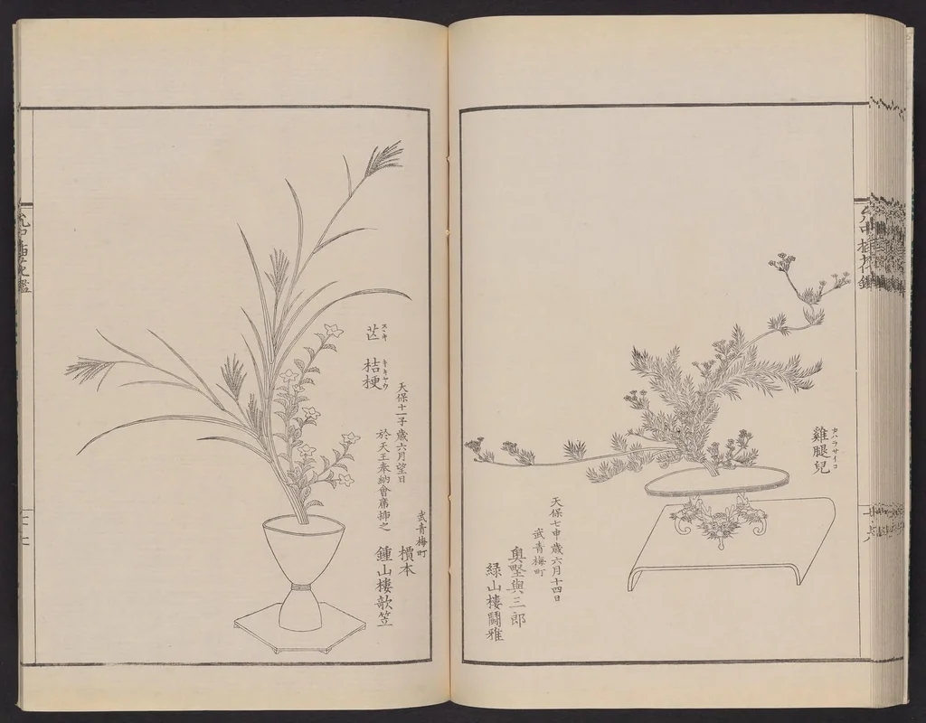 An illustration from Inchū-ryū sōka kagami, 1868, leaf 40