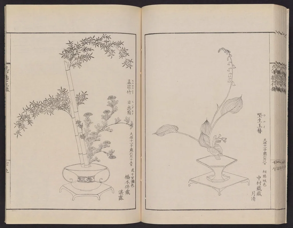 An illustration from Inchū-ryū sōka kagami, 1868, leaf 42
