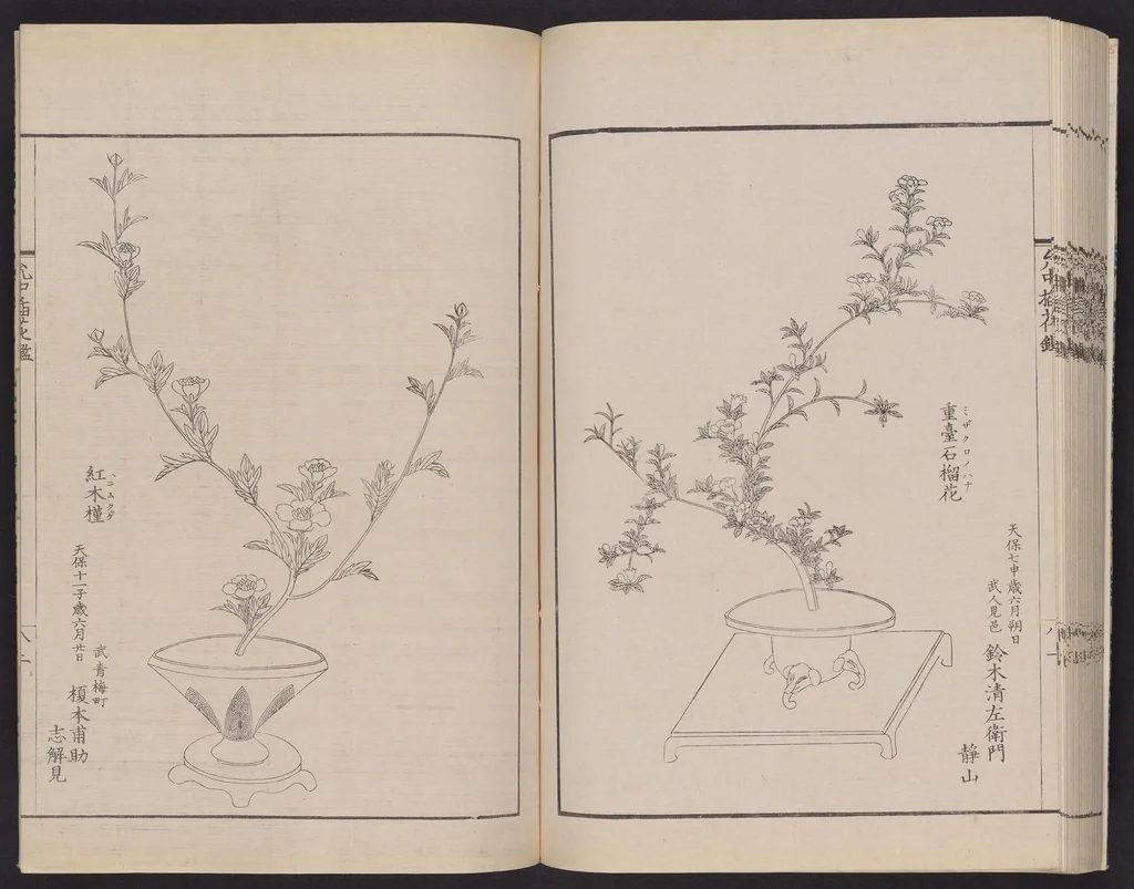 An illustration from Inchū-ryū sōka kagami, 1868, leaf 45