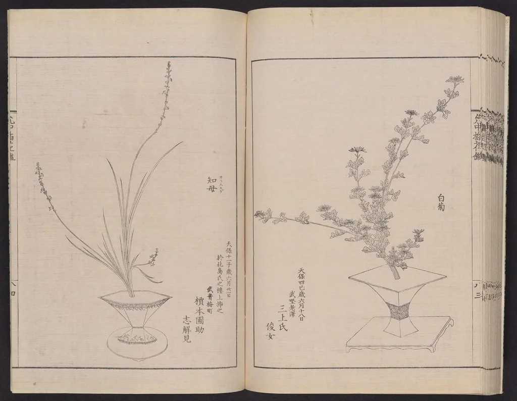 An illustration from Inchū-ryū sōka kagami, 1868, leaf 47