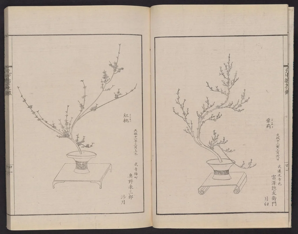 An illustration from Inchū-ryū sōka kagami, 1868, leaf 5