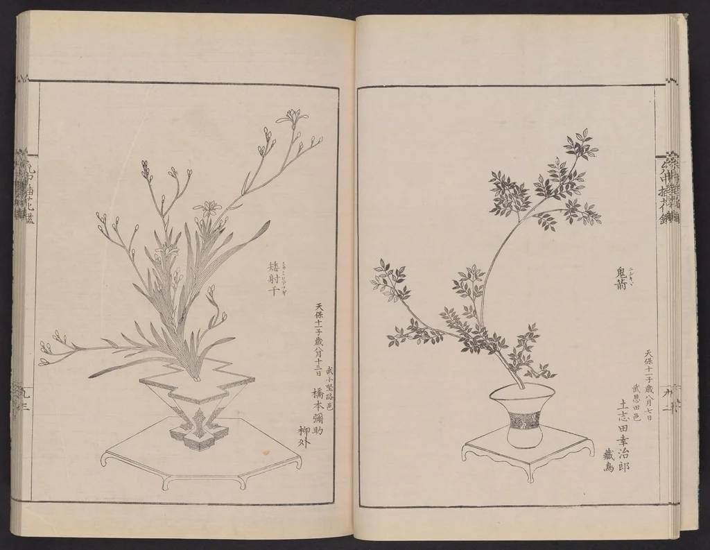 An illustration from Inchū-ryū sōka kagami, 1868, leaf 10