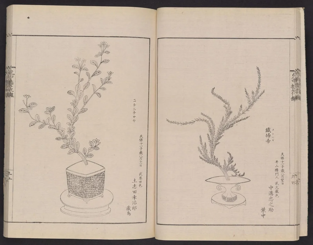 An illustration from Inchū-ryū sōka kagami, 1868, leaf 12