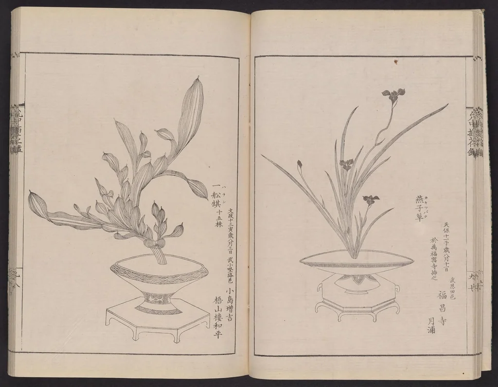 An illustration from Inchū-ryū sōka kagami, 1868, leaf 15