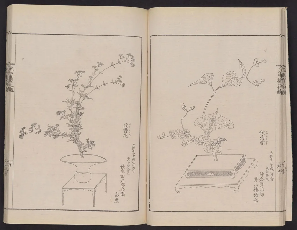 An illustration from Inchū-ryū sōka kagami, 1868, leaf 17