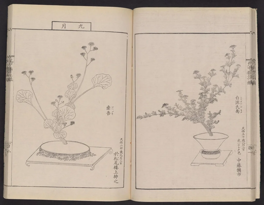 An illustration from Inchū-ryū sōka kagami, 1868, leaf 19
