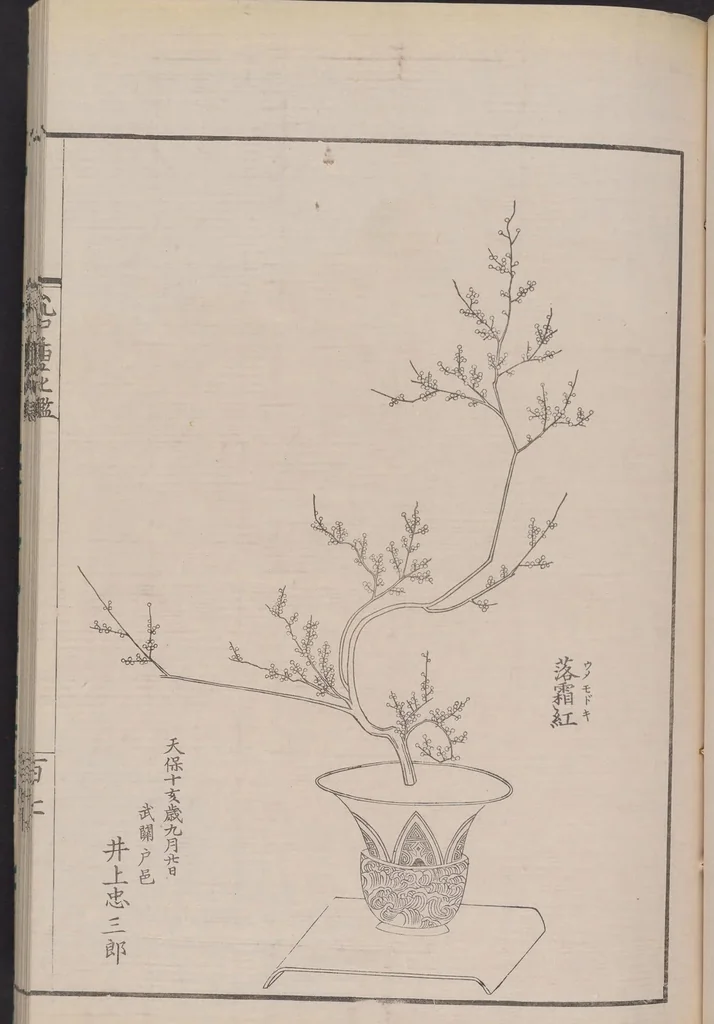 An illustration from Inchū-ryū sōka kagami, 1868, leaf 24