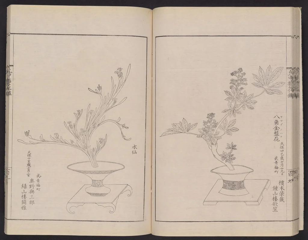 An illustration from Inchū-ryū sōka kagami, 1868, leaf 27