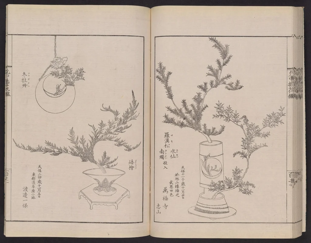 An illustration from Inchū-ryū sōka kagami, 1868, leaf 38