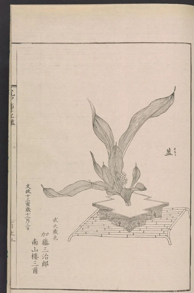 An illustration from Inchū-ryū sōka kagami, 1868, leaf 42