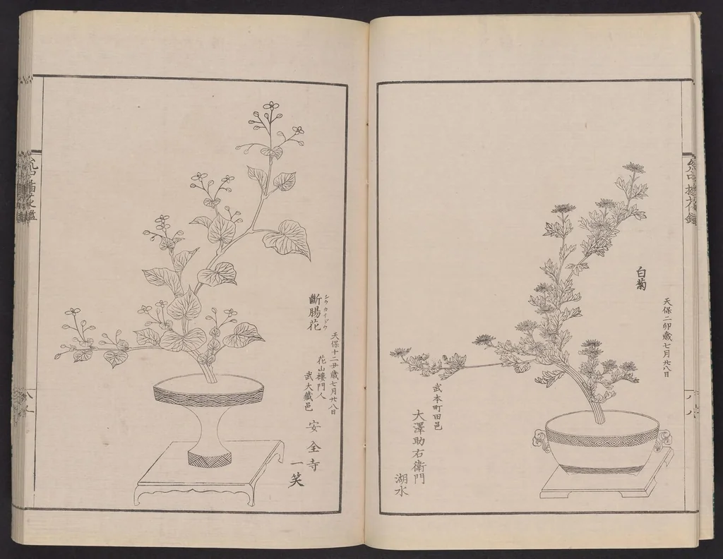 An illustration from Inchū-ryū sōka kagami, 1868, leaf 6