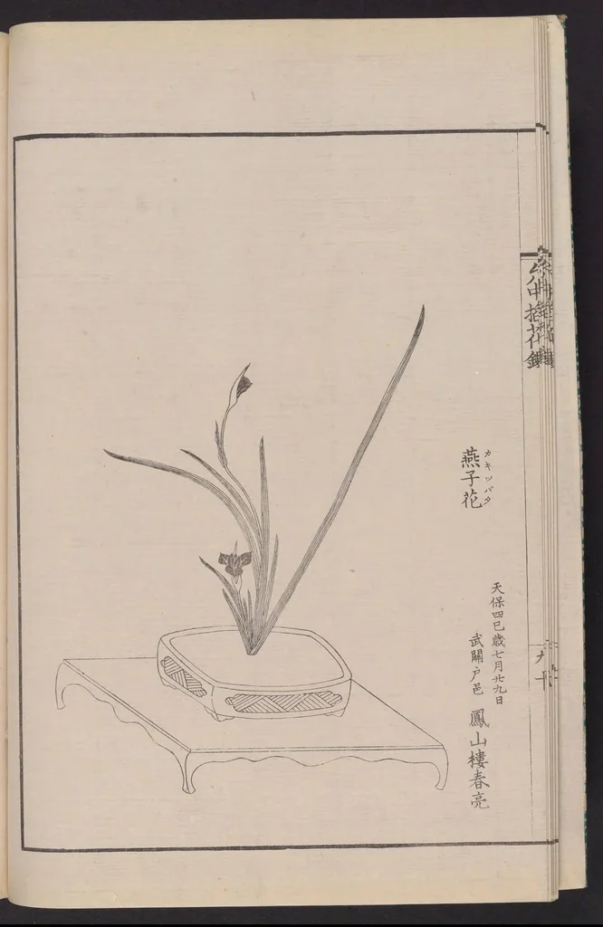 An illustration from Inchū-ryū sōka kagami, 1868, leaf 8