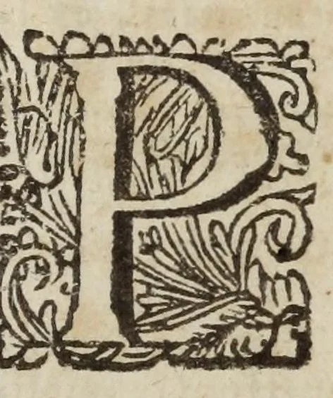 An illustration from Incunabula typographiae, sive, Catalogus librorum scriptorumque proximis ab inventione typographicae annis, usque ad annum Christi M.D. inclusive, in quavis linguâ editorum, 1688, leaf 17