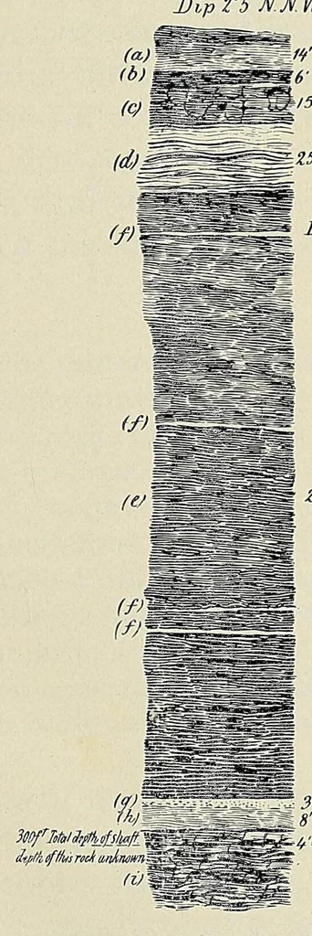 An illustration from Incwadi Yami; or, Twenty years' personal experience in South Africa, 1887, leaf 167