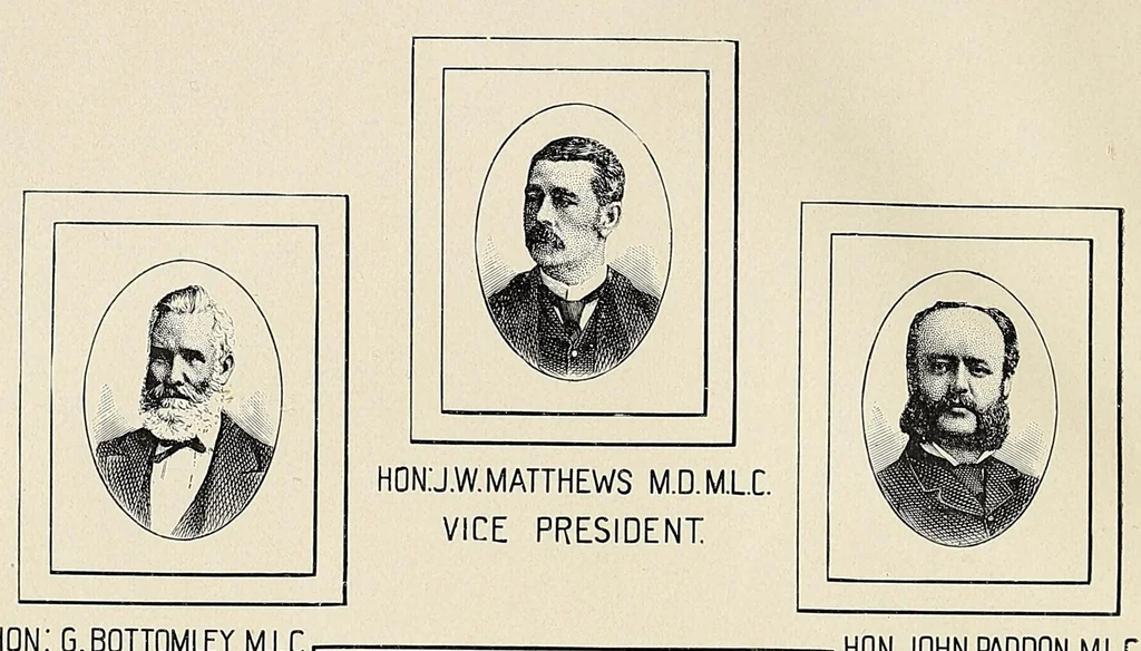 An illustration from Incwadi Yami; or, Twenty years' personal experience in South Africa, 1887, leaf 8