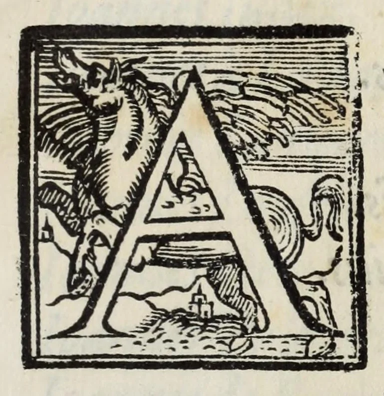 An illustration from Index et catalogvs librorum prohibitorum : mandato Illustriss. ac Reuerẽdiss. D.D. Gasparis a Qviroga, Cardinalis Archiepiscopi Toletani, ac in regnis Hispaniarum generalis inquistitoris, denuò editus : cvm Consilio Svpremi Senatus Sanctae Generalis Inquistionis, 1583, leaf 203