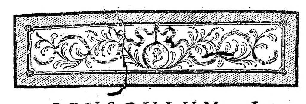 An illustration from Rogerii Josephi Boscovich Opera Pertinentia ad Opticam et Astronomiam, maxima ex parte nova and omnia hucusque inedita, in quinque tomos distributa, Ludovico XVI., Vol. IV, 1785, leaf 10