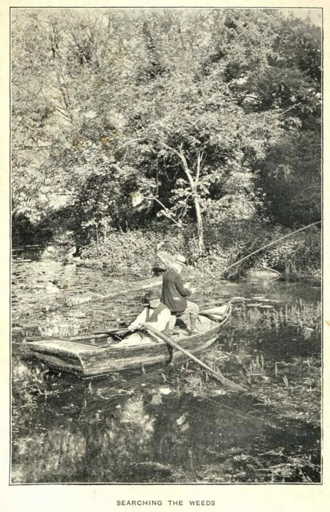 An illustration from Pike and Perch, with chapters by ‘John Bickerdyke’ and W. H. Pope; Cookery by Alexander Inns Shand- Fur, Feather and Fin Series, 1900, leaf 128
